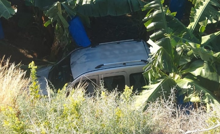 Alanya’da hafif ticari araç muz bahçesine devrildi, 1 kişi ağır yaralandı