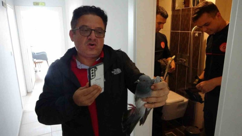 Manavgat’ta mahsur kalan güvercin itfaiye tarafından kurtarıldı