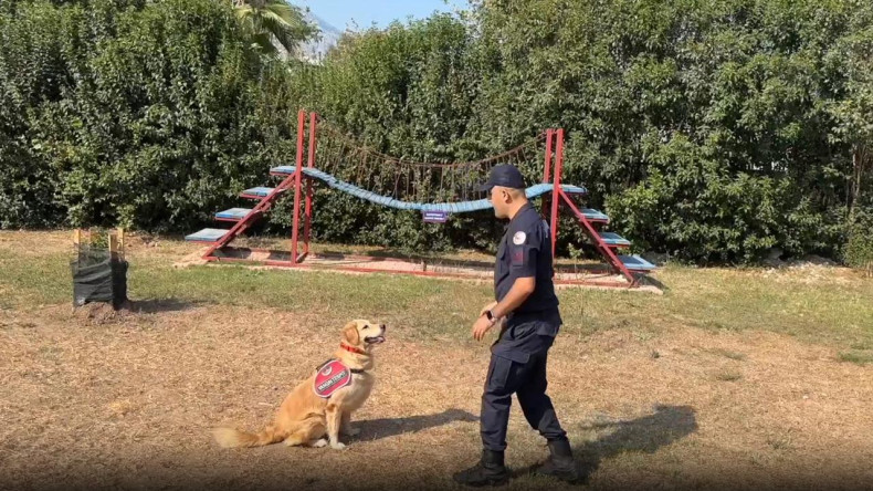 Antalya İl Jandarma Komutanlığı’nın yangın tespit köpeği şüpheli yangınları buluyor