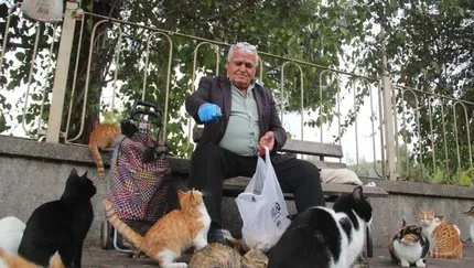 ‘Kedici baba’ 20 yıldır her gün 500’e yakın kedi besliyor
