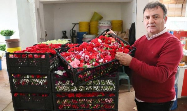 Türkiye’de Kesme Çiçek Tüketimi Avrupa Ülkelerinin Gerisinde Kalıyor