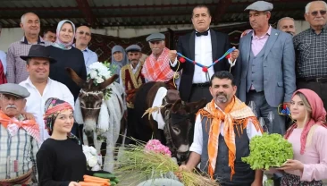 Antalya’da bir garip olay! Nesli tükeniyor diye düğün yaptılar