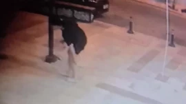 Antalya’da Sokak Köpeği Saldırısı: