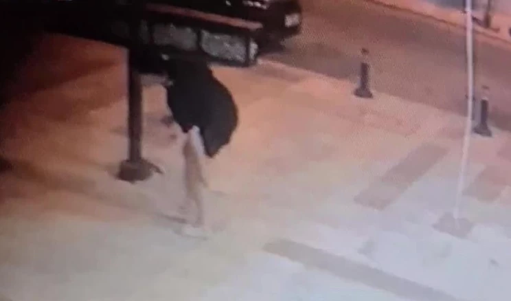 Antalya’da Sokak Köpeği Saldırısı: