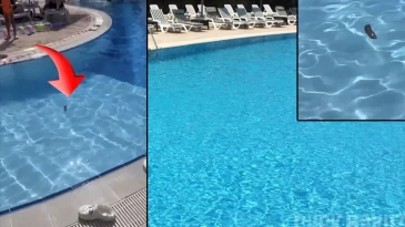 Antalya’da otelin havuzunda ‘dışkı’ skandalı