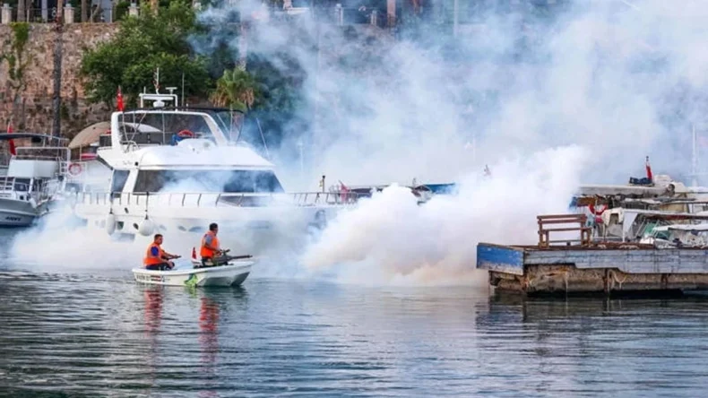 Antalya’da sinek seferberliği